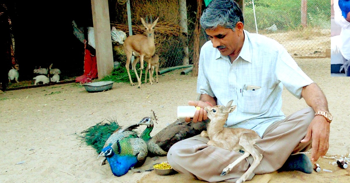 India: This Mechanic from Rajasthan Has Rescued Over 1,180 Injured Wild Animals