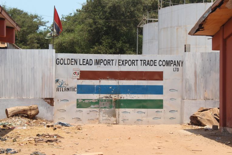 Gambians Fight Chinese Fishmeal Factory as Fish Prices Soar, Stocks Fall