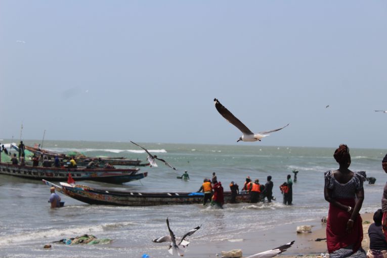 Gambia “Sustainable” Fishing Partnership Agreement  in Numbers, Is it really Sustainable?