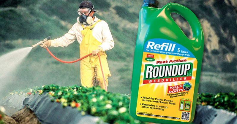 Monsanto’s Roundup Loses Second Cancer Case, With 11,000 More to Come