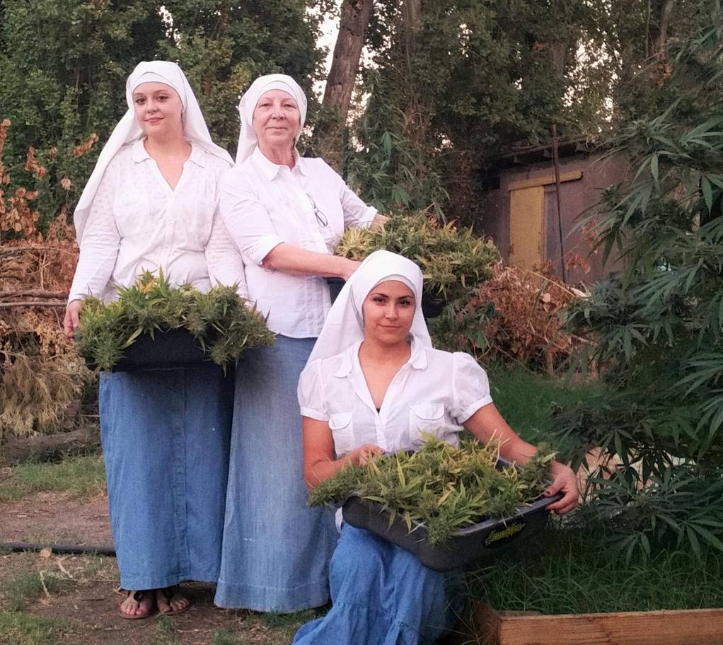 The weed nuns who make £850k a year growing and selling marijuana