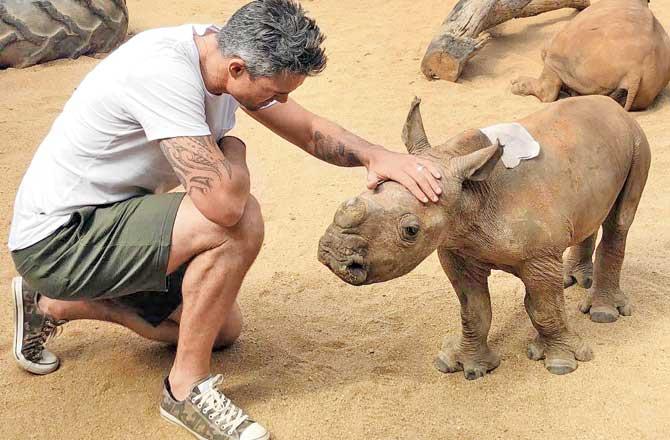 Kevin Pietersen: Government ‘could write cheque’ to save rhinos now