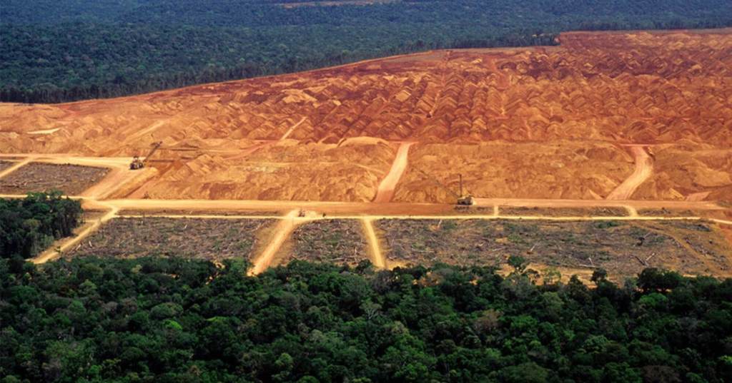 Deforestation Of The Amazon Has Reached 3 Football Fields Per Minute!