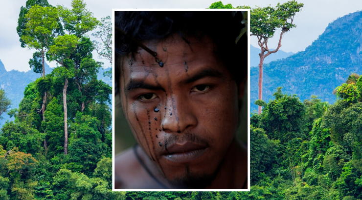 Tribal Leader Who Guarded the Amazon Rainforest Murdered by Illegal Loggers