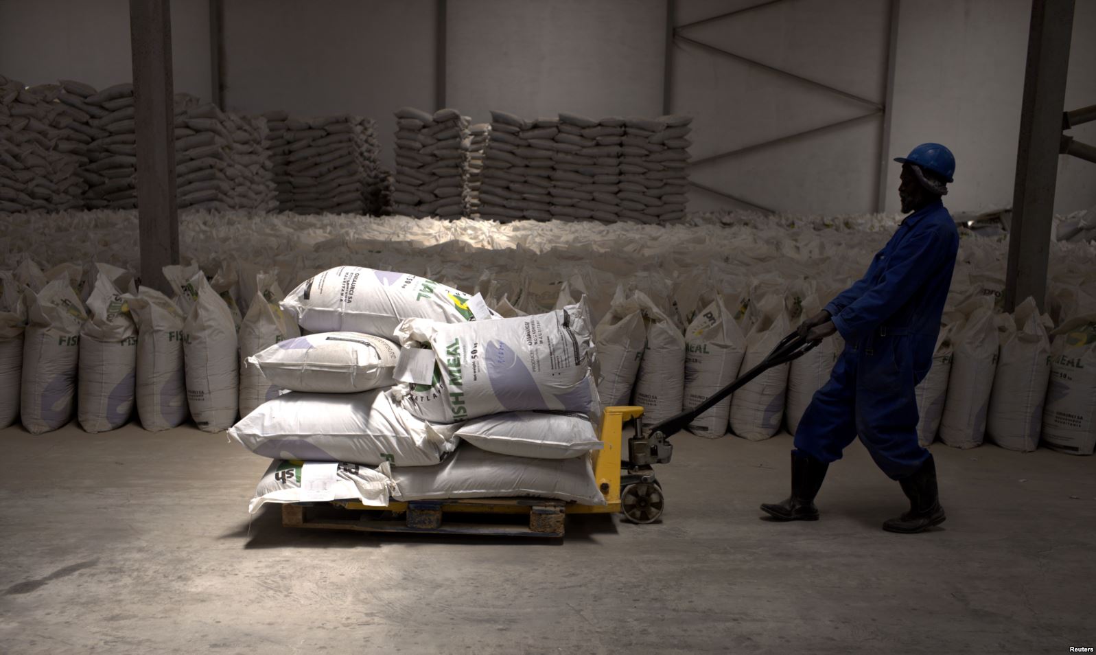 A worker pulls a trolley loaded with sacks of fishmeal produced by the Omaurci SA company in Nouadhibou, Mauritania,