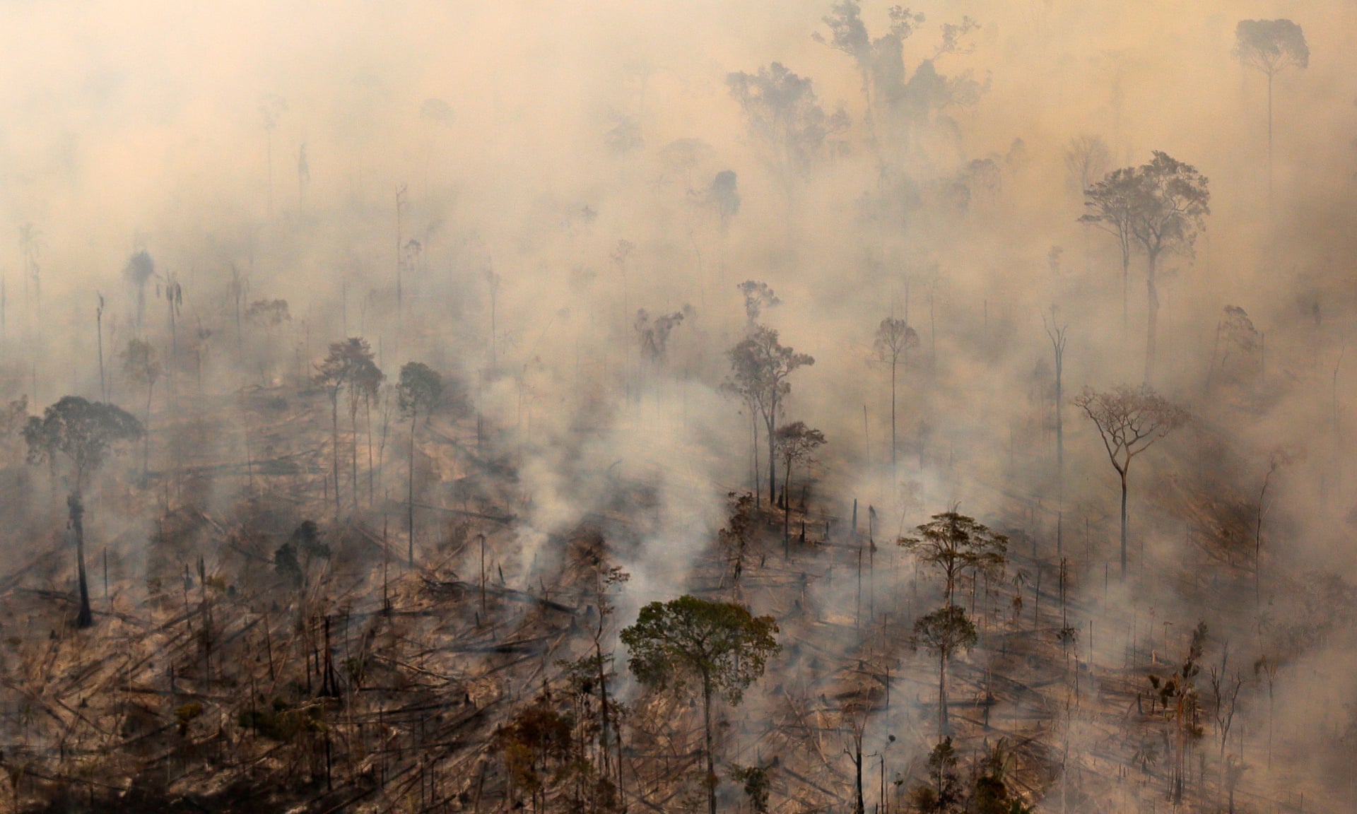 Environmentalists warn deforestation likely to become more acute when Jair Bolsonaro becomes president on 1 January. Photograph: Bruno Kelly/Reuters