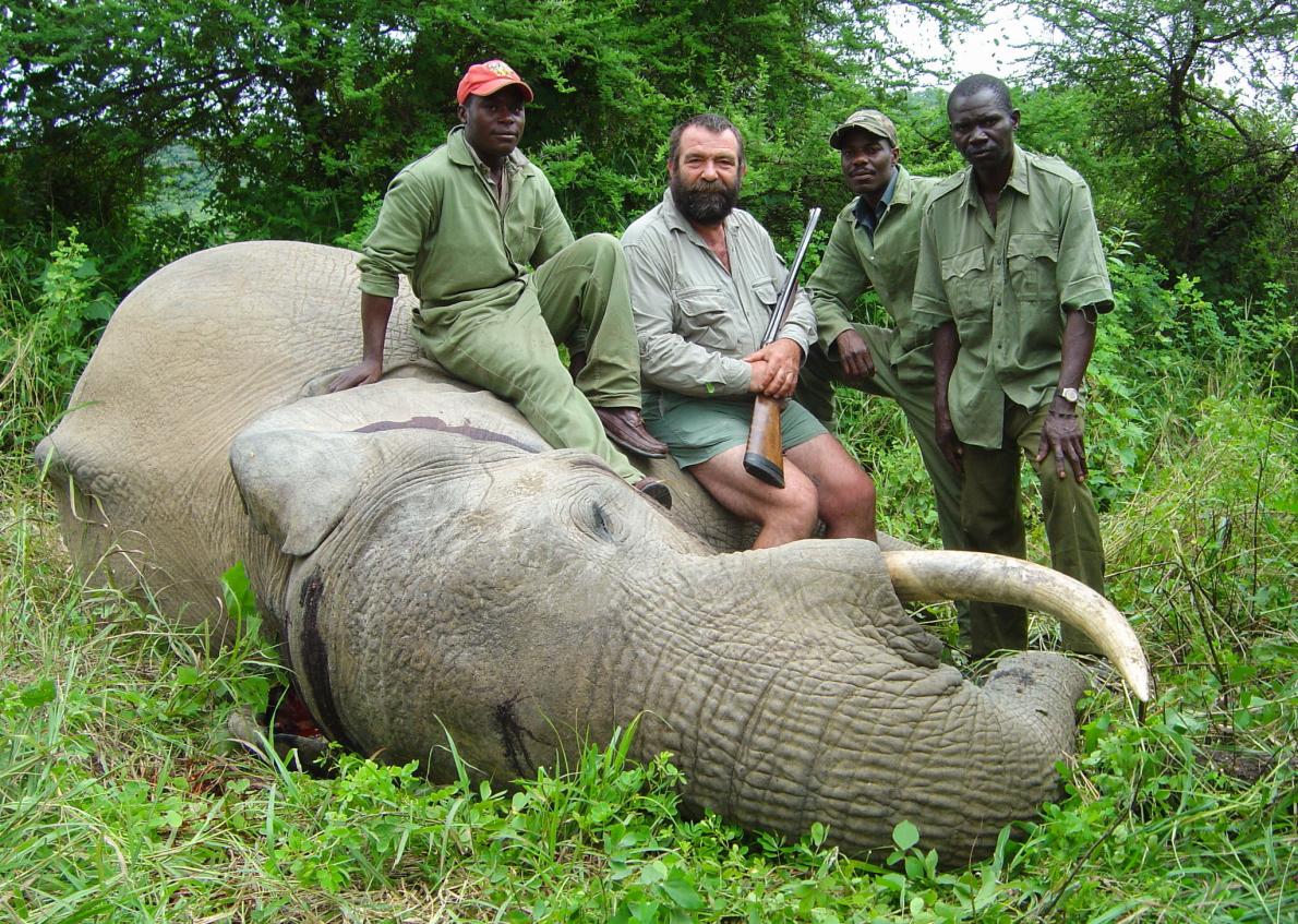 A Elephant killed in Tanzania - 3 years ban is lifted
