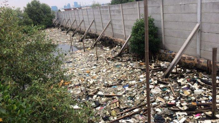 Trash covers mangrove waters in Marunda, North Jakarta. (Warta Kota/Junianto Hamonangan)