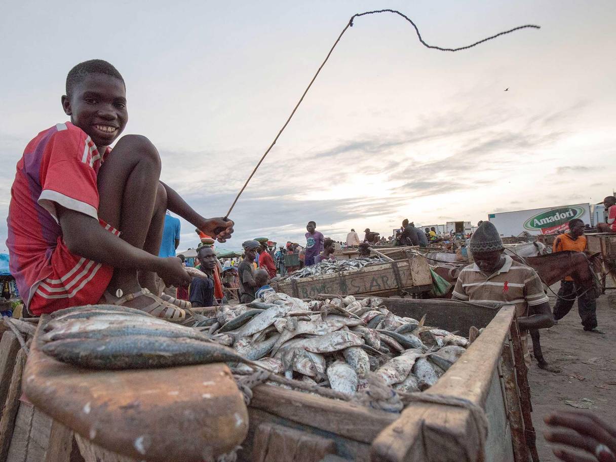 How vital fish stocks in Africa are being stolen from human mouths