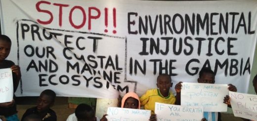 Youths are protesting in the Gambia against the destruction of their environment.