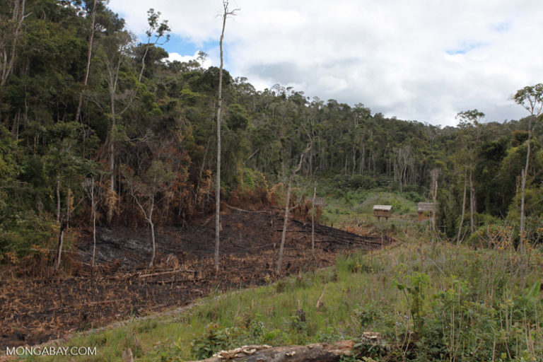Land cleared for farming in Madagascar. Image by Rhett A. Butler/Mongabay.