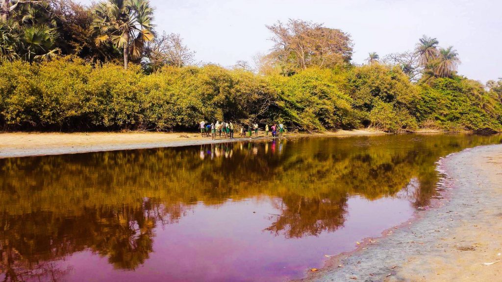 Bolong Fenyo Wildlife reserve, after the chinese came and installed a pipeline for their waste water