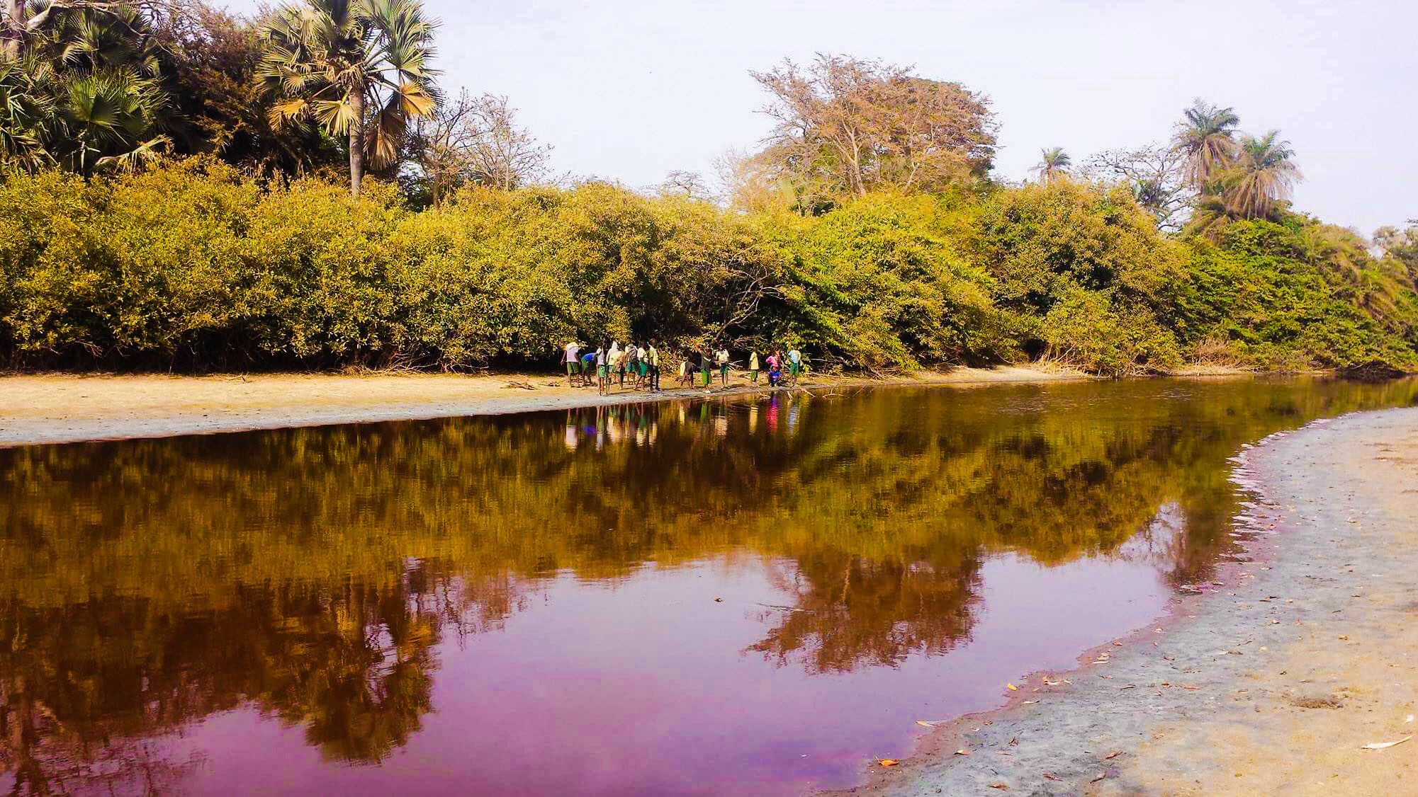 Bolong Fenyo Wildlife Reserve Poisoned by Golden Lead Factory