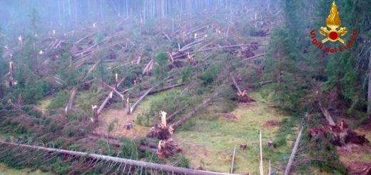 Heavy rain and gales lashing parts of Italy have killed at least 17 people and razed thousands of hectares of forest, destroying 14 million trees.