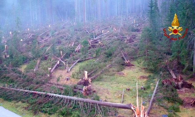 Heavy rain and gales lashing parts of Italy have killed at least 17 people and razed thousands of hectares of forest, destroying 14 million trees.