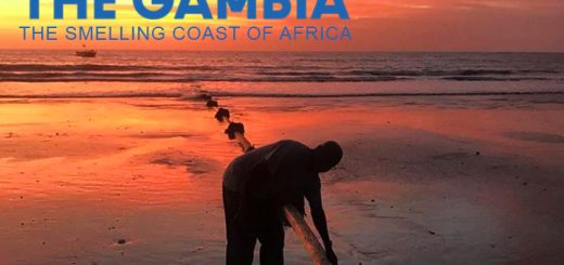 Gambi the smelling coast of africa -pipelines of nissim fishmeal factory in sanyang, the gambia