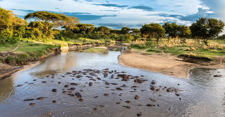 tanzania selous reserve