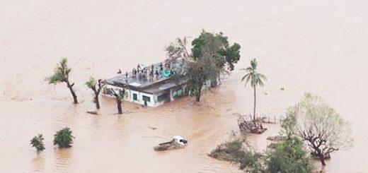Cyclone idai death toll rises