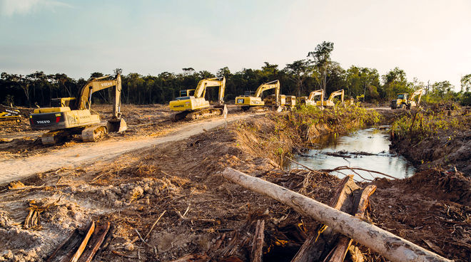 The Planet Loses 40 Soccer Fields Worth Of Forests Every Minute