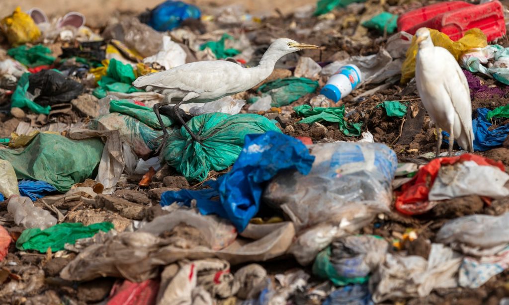 Eu votes for ban single use plastic