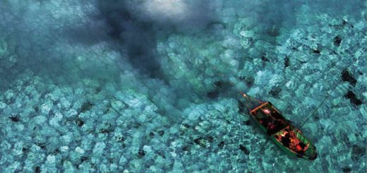 Chinese Clam Poachers Destroying Entire Reef in The Philippines