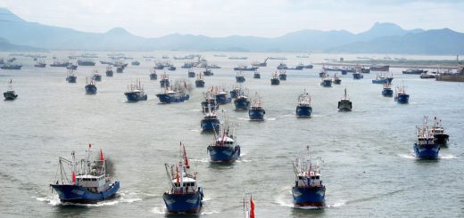 chinese armed fishing fleet
