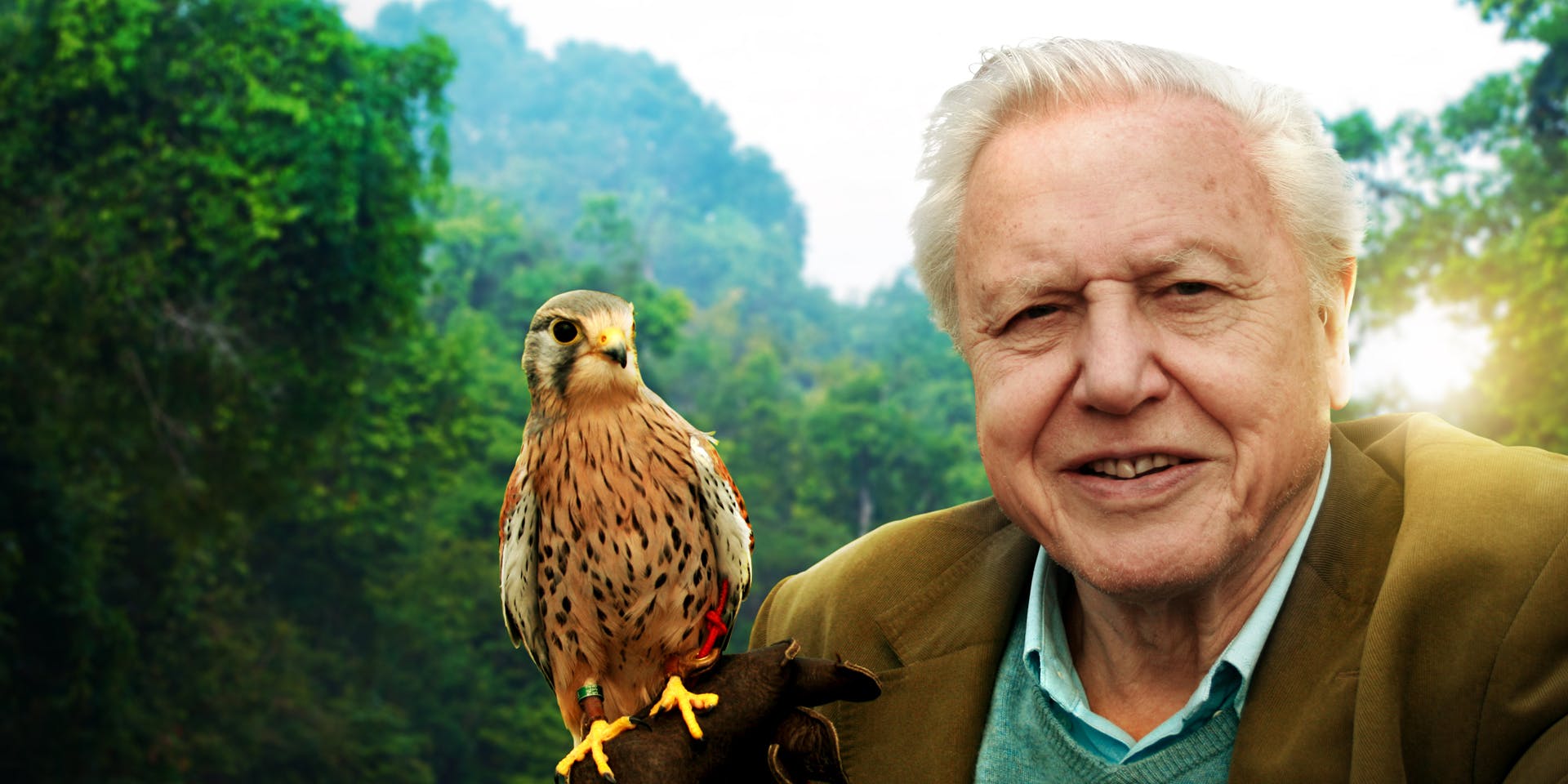 David Attenborough, the voice of Our Planet: Things are going to get worse