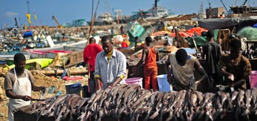 Somalian Fishing rights China
