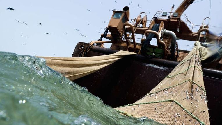 Sierra Leone Fishing Ban