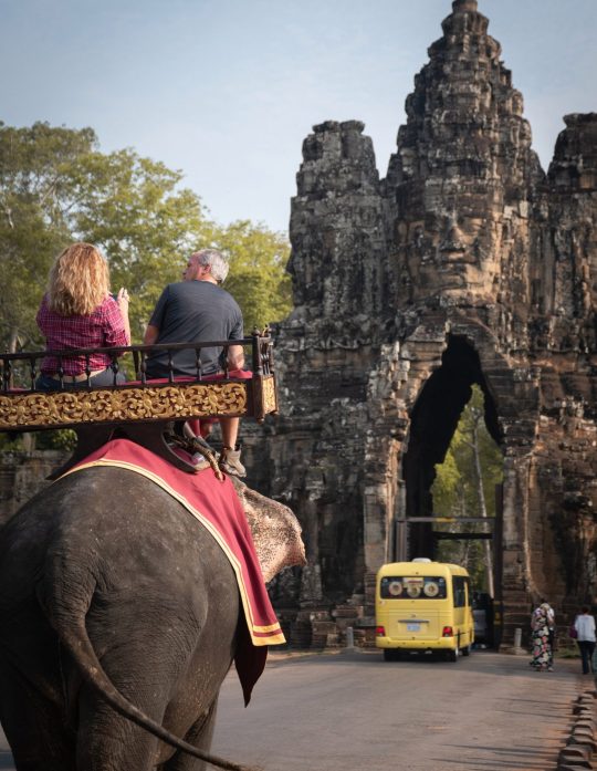 cambodia elephant rides