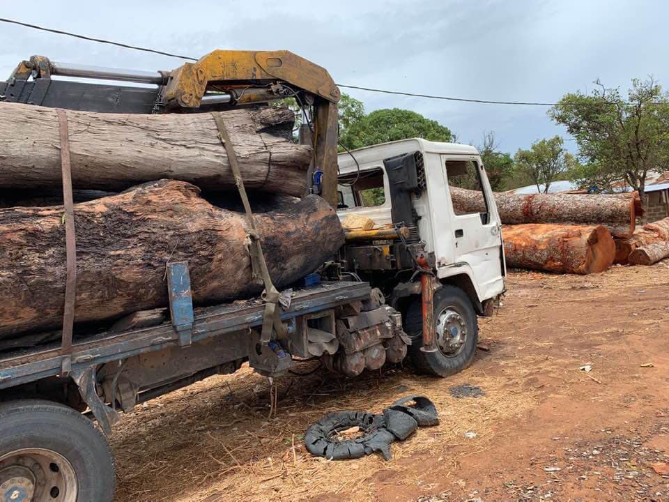 Gambia is losing forest