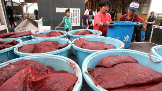 whale meat japan