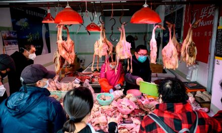 New York Too Has Over 80 Wet Markets That Sell & Slaughter Live Animals