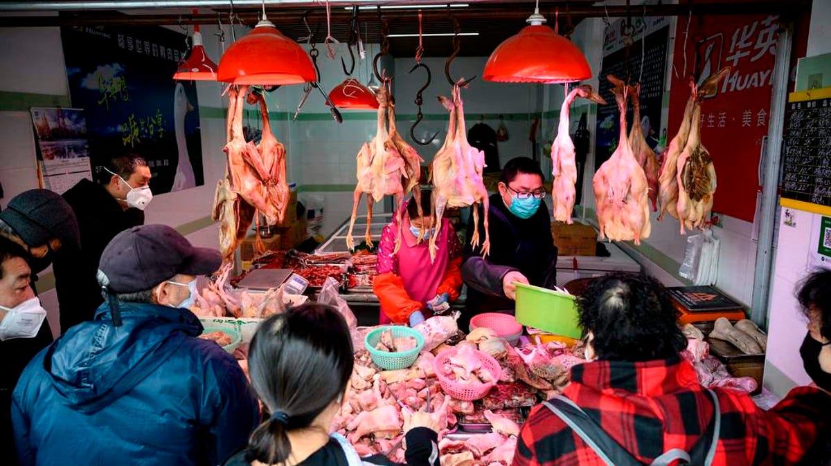 New York Too Has Over 80 Wet Markets That Sell & Slaughter Live Animals